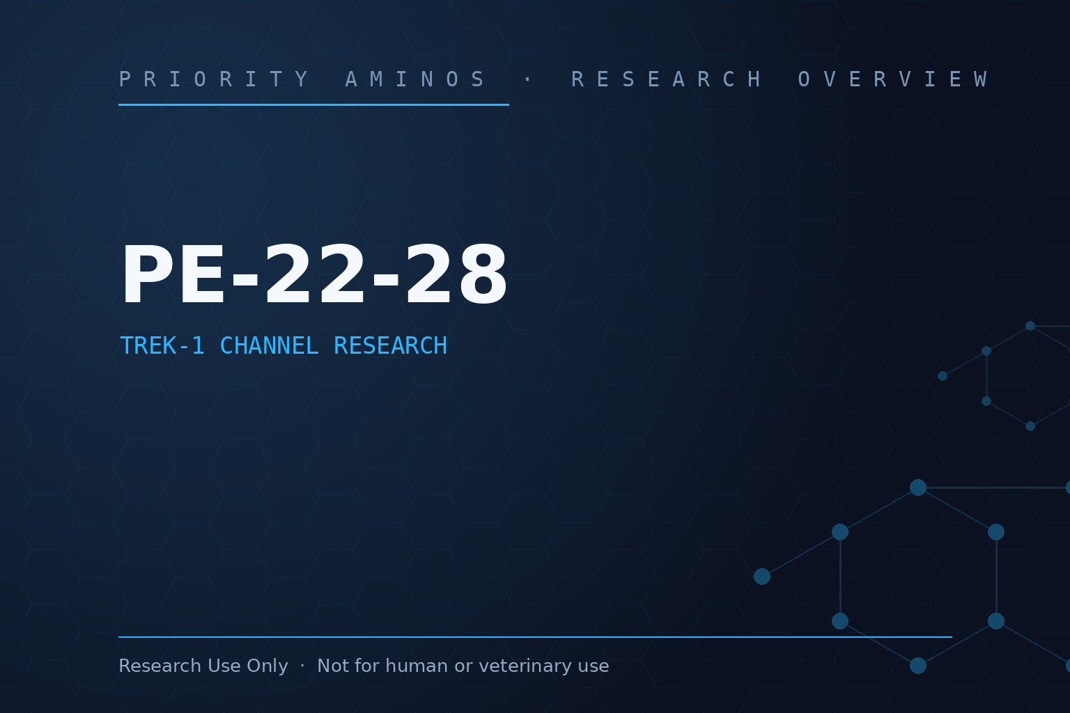 PE-22-28 Research Overview: TREK-1 Channel Research and Laboratory Interest